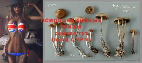 твердый Абинск