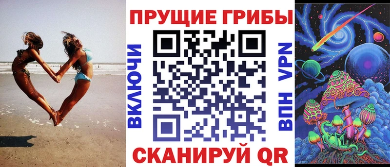 купить наркотик  Александровск  Псилоцибиновые грибы Psilocybine cubensis 